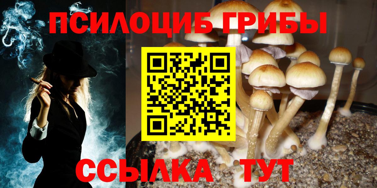 Псилоцибиновые грибы мухоморы  Вход с VPN  Кизляр 