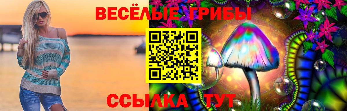 Галлюциногенные грибы ЛСД Кизляр